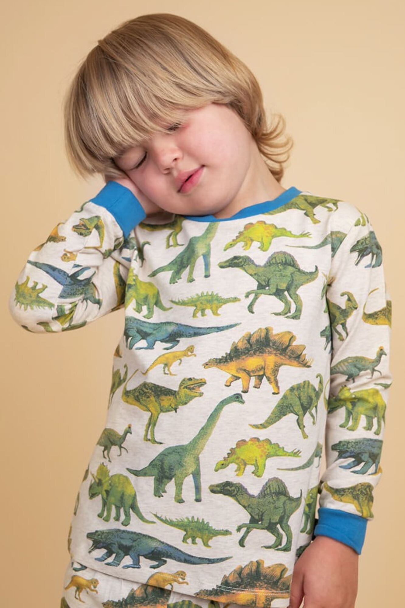 Rock Your Kid Dino Snore PJ Set SHOP BY BRAND Rock Your Kid