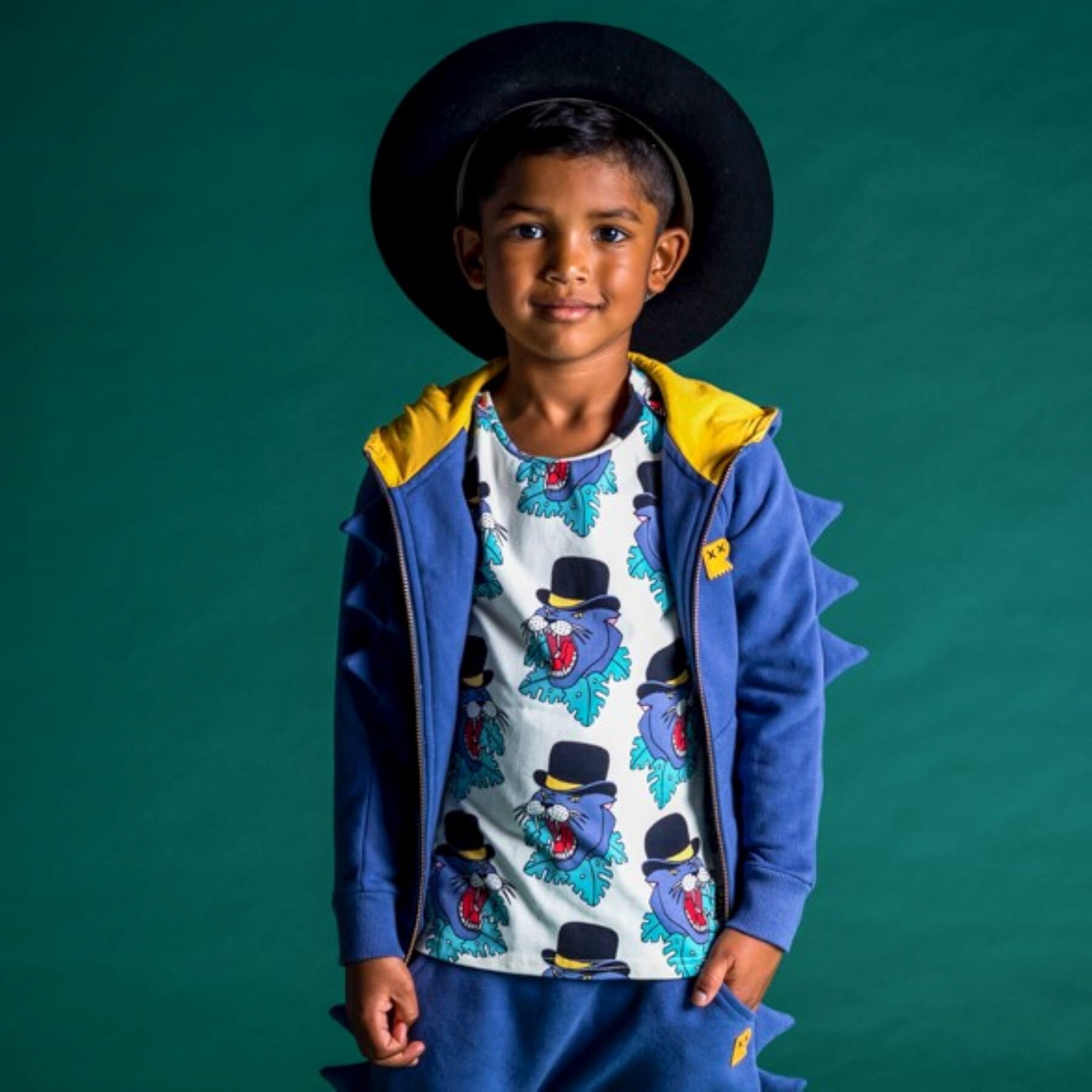 Rock Your Kid Blue Dino Hoodie SALE Sale Boys Clothing Kids Clothing NZ Shop Online Kid Republic W21 Rock Your Kid D1