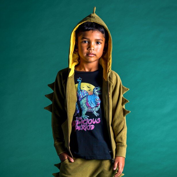 Boys hot sale dino hoodie