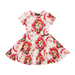 Rock Your Kid Floral Santa Waisted Dress