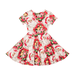 Rock Your Kid Floral Santa Waisted Dress