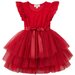 Designer Kidz My First Lace Tutu Dress - Sparkle Red