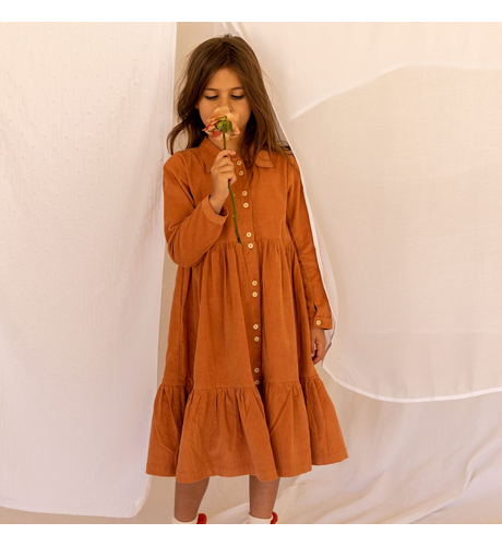 Alex & Ant Lena Dress - Copper