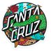 Santa Cruz Winkowski Aquatic Dot Sticker