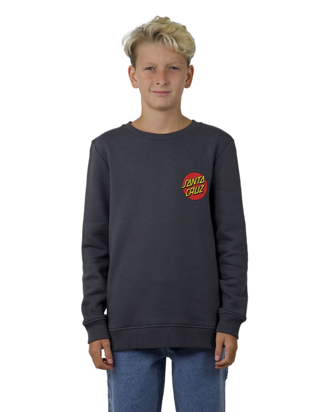 Santa Cruz Classic Dot Chest Sweater Charcoal CLOTHING BOY Boys Crews Sweats Hoodies Kids Clothing NZ Shop Online Kid Republic W24 Santa Cruz D1