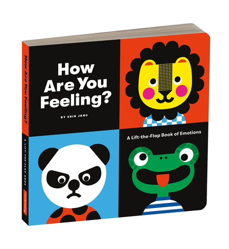 How Are You Feeling Board Book