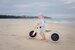 Wishbone 3-in-1 Balance Bike - Penguin