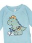 Huxbaby Construction Dino Rashguard