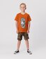 Radicool Dude Bolt Leopard Tee In Rust