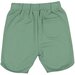 Rad Tribe Short In Green