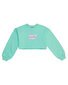 Santa Cruz Glint Stack Front Sweater - Light Green