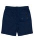 Santa Cruz Classic Dot Cruzier Short - Vintage Blue