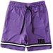 Hello Stranger Varsity Short - Purple