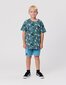 Radicool Dude Tropical Blue Denim Short