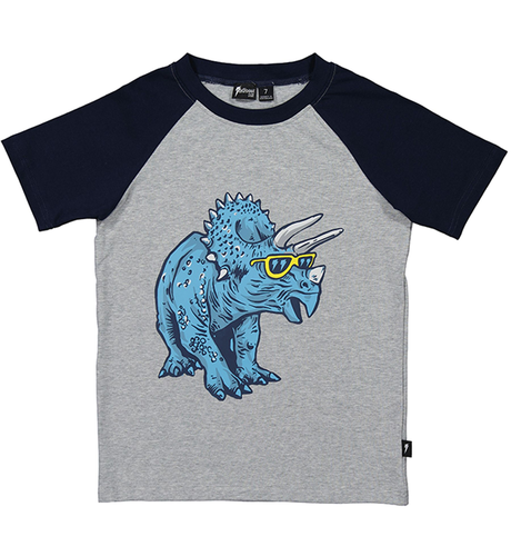 Radicool Dude Rad Dino Raglan Tee