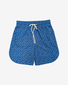 Band of Boys Shark Board Shorts