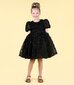 Rock Your Kid Black Ruffle Tulle Party Dress