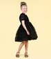 Rock Your Kid Black Ruffle Tulle Party Dress