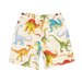 Rock Your Kid Dinos Galore Shorts