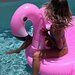 Sunnylife Luxe Ride-On Float Rosie The Flamingo - Bubblegum Pink