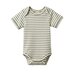 Nature Baby Short Sleeve Bodysuit - Nettle Sailor Stripe