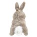 Finger Puppet - Grey Rabbit