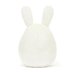 Jellycat Amuseable Bunny Egg